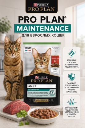 Изображение PRO PLAN MAINTENANCE