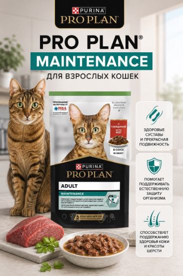 Изображение PRO PLAN MAINTENANCE