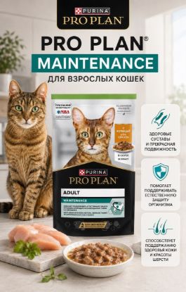 Изображение PRO PLAN MAINTENANCE