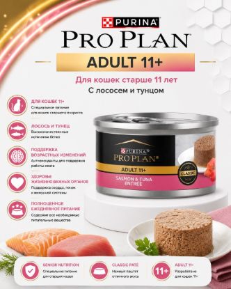 Изображение PRO PLAN ADULT 11+