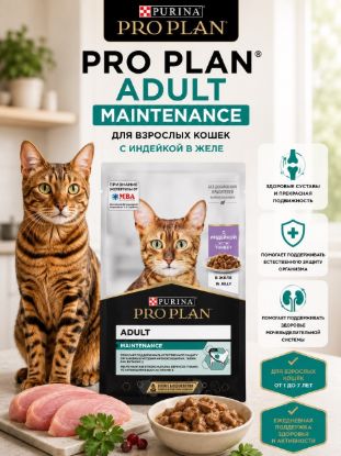 Изображение PRO PLAN ADULT MAINTENANCE