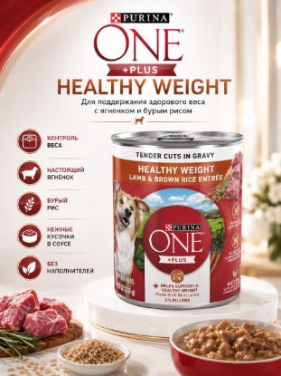 Изображение PURINA ONE +PLUS HEALTHY WEIGHT