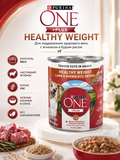 Изображение PURINA ONE +PLUS HEALTHY WEIGHT