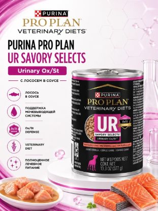 Изображение PURINA PRO PLAN UR SAVORY SELECTS Urinary OxSt