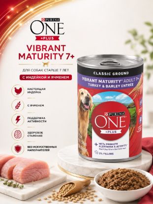 Изображение PURINA ONE +PLUS  VIBRANT MATURITY 7+