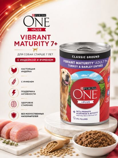 Изображение PURINA ONE +PLUS  VIBRANT MATURITY 7+