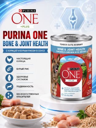 Изображение PURINA ONE BONE & JOINT HEALTH