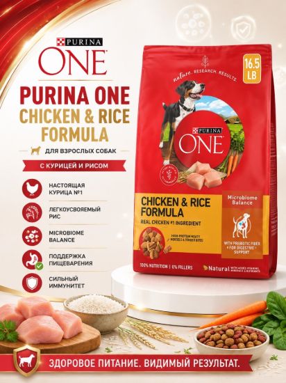 Изображение PURINA ONE CHICKEN & RICE FORMULA
