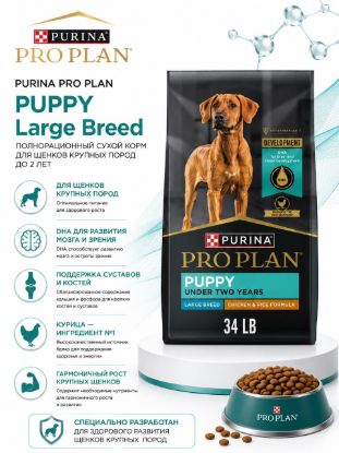Изображение PURINA PRO PLAN PUPPY Large Breed